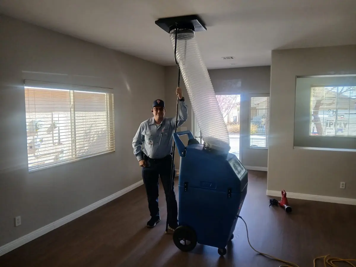 Professional Dryer Vent Cleaning work inside a Elko home